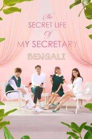 The Secret Life of My Secretary | 2019 | 7.3 Bangla Dubbed | 720p | H.264 | WEB-DL | Download & Watch Online